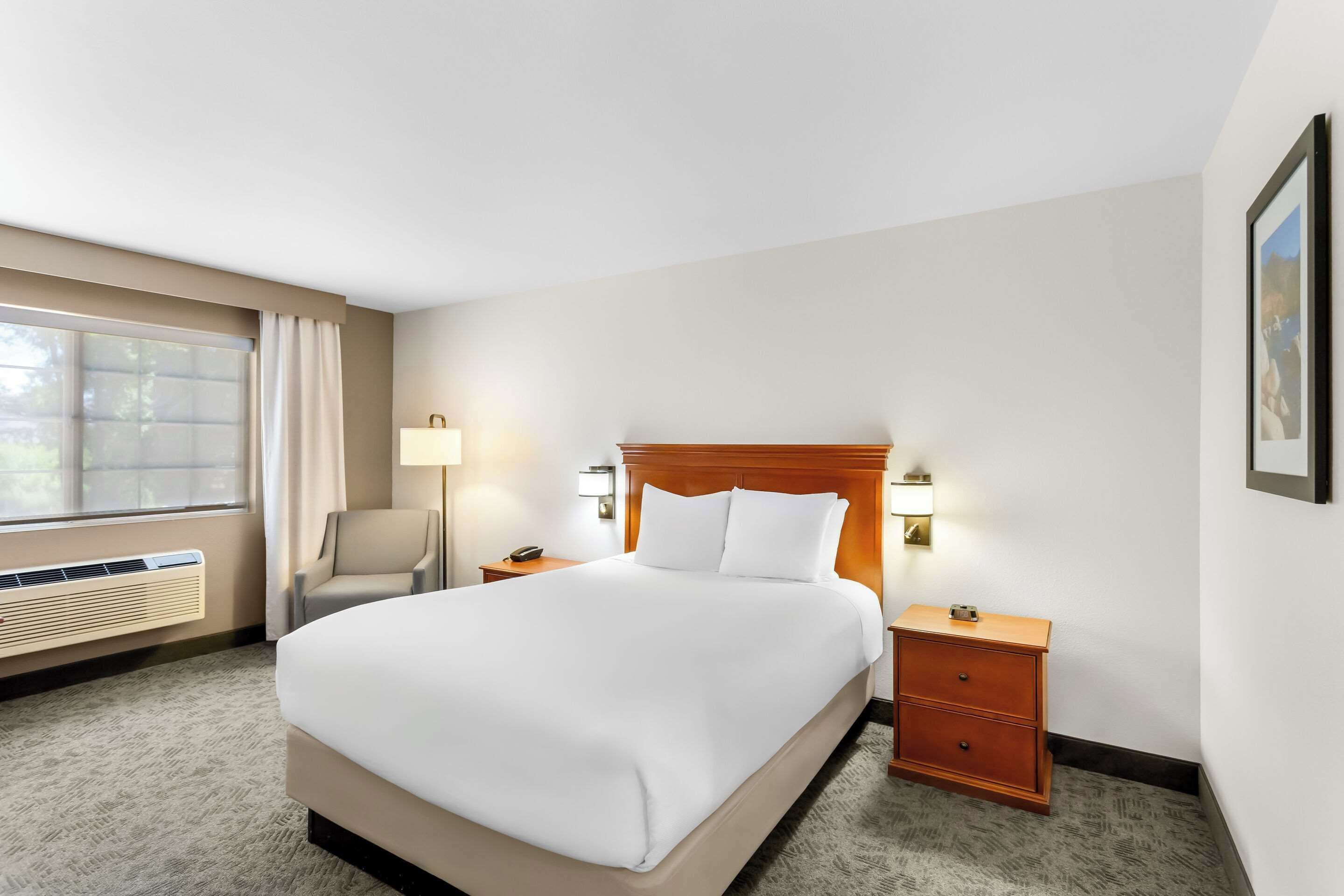 standard room, 1 queen bed, non smoking | premium bedding, pillow-top beds, in-room safe, desk