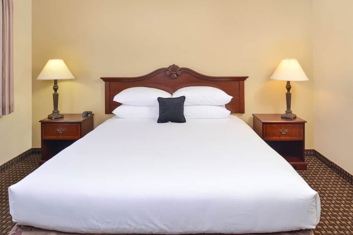 A large bed with white linens, a dark pillow, and two bedside tables with lamps.