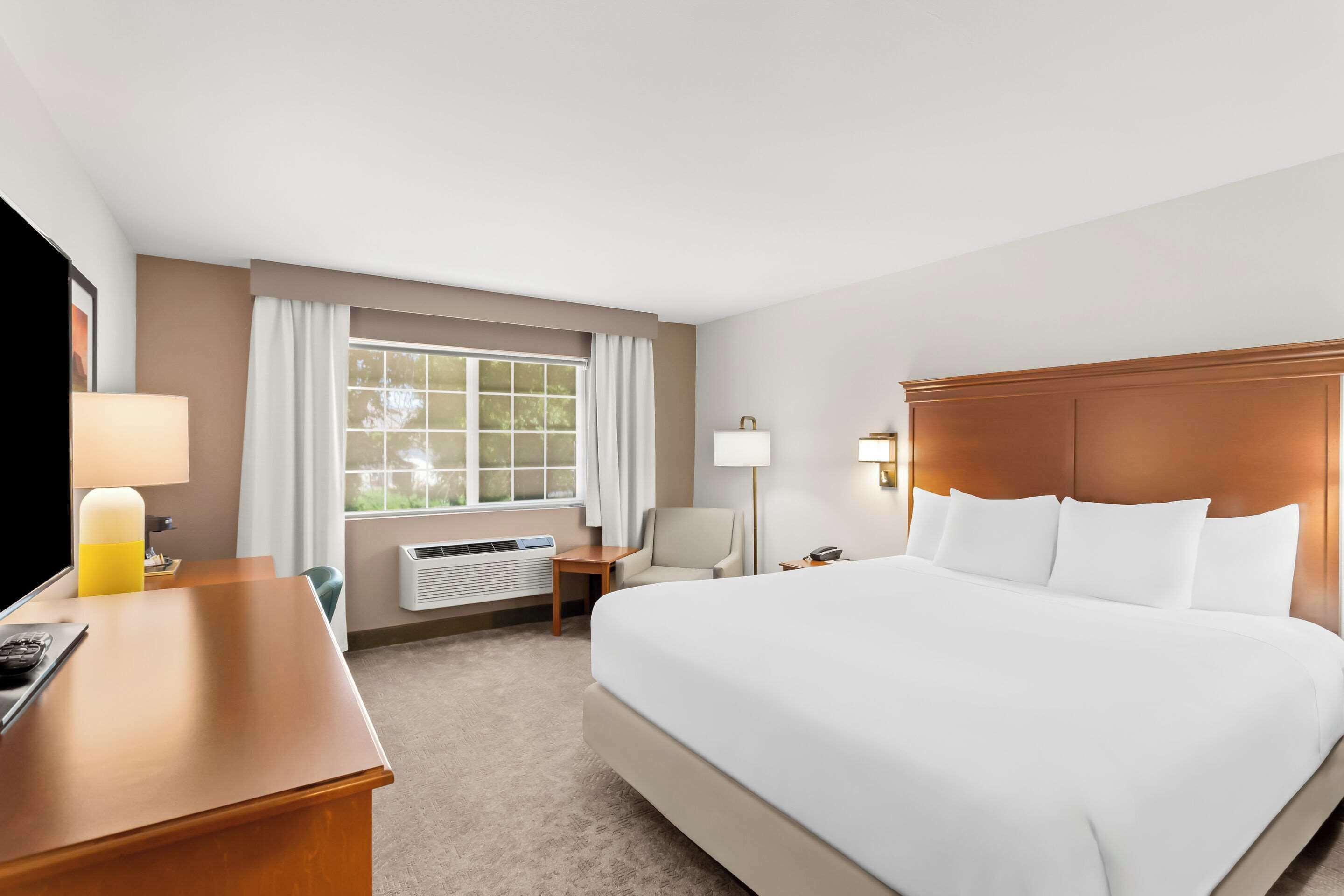 suite, 1 king bed, non smoking | premium bedding, pillow-top beds, in-room safe, desk