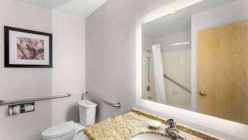 Une salle de bain avec des toilettes, un lavabo et une douche. On y trouve des barres d’appui et un tableau encadré au mur.