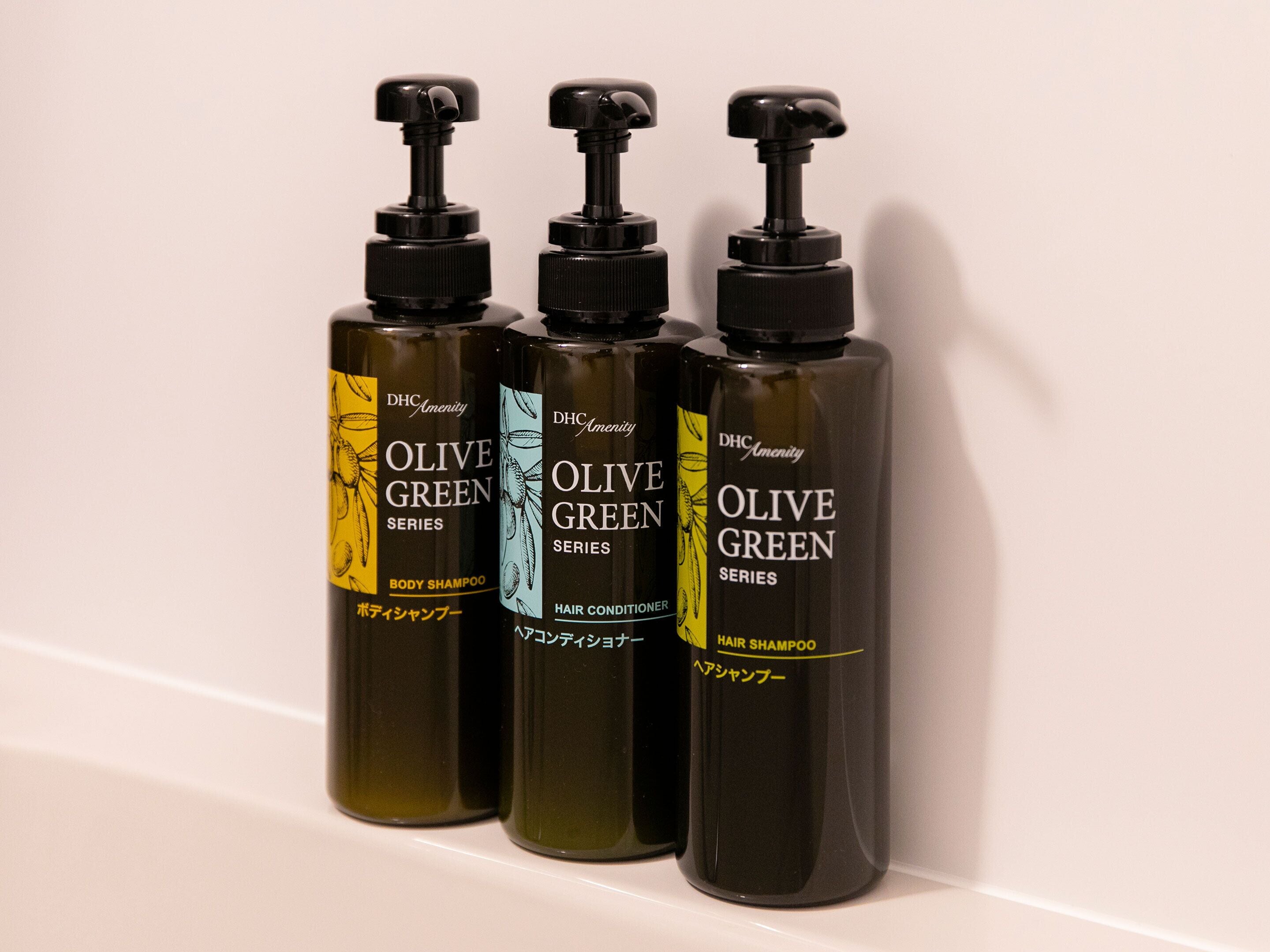 shower, free toiletries, hair dryer, slippers