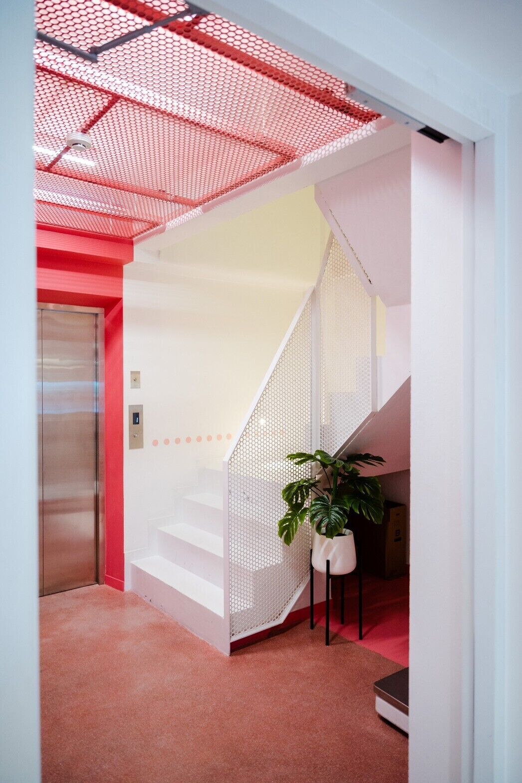 Photo - Budacco The Living Place