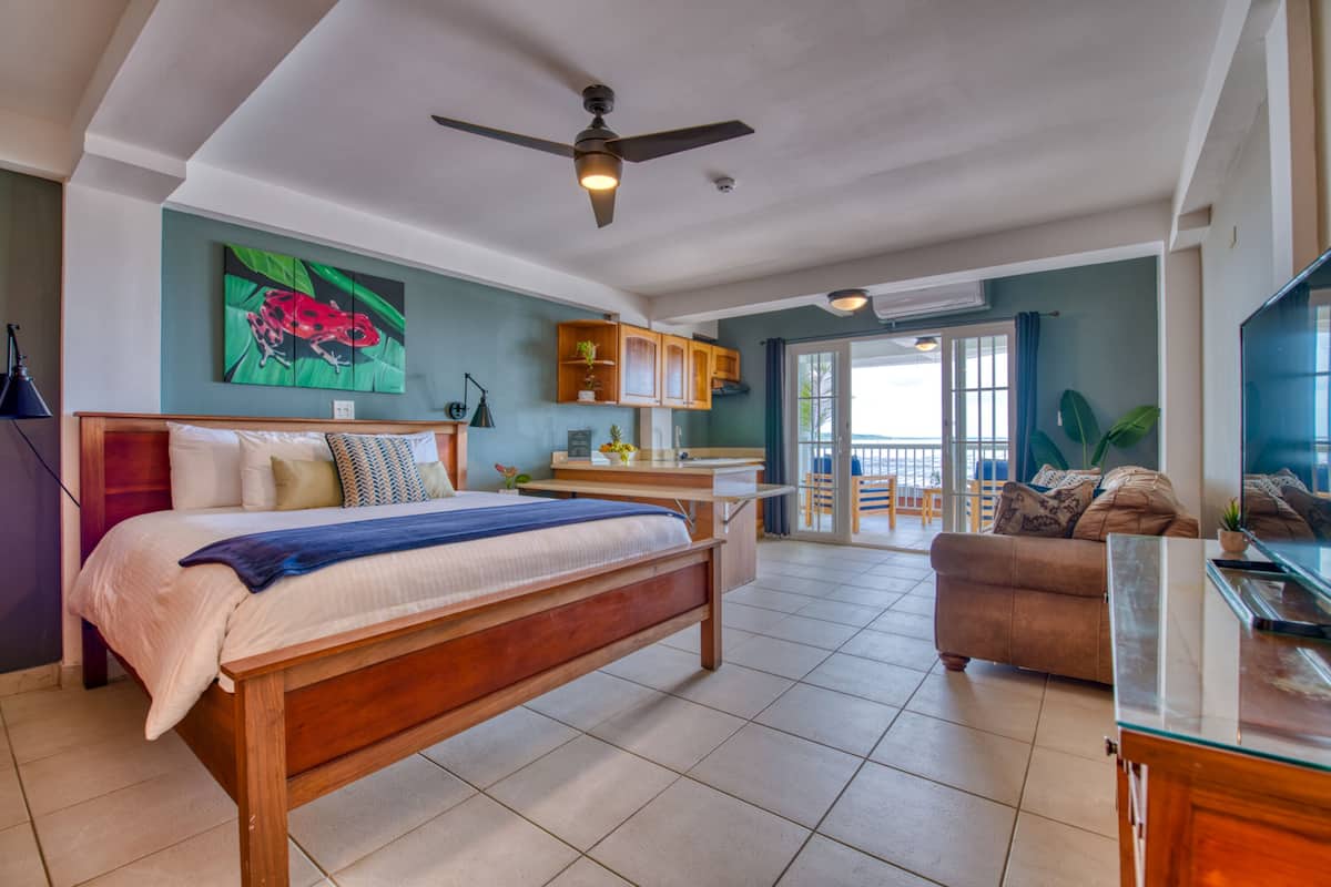 A spacious bedroom with a large bed, a ceiling fan, and a view to the outside.