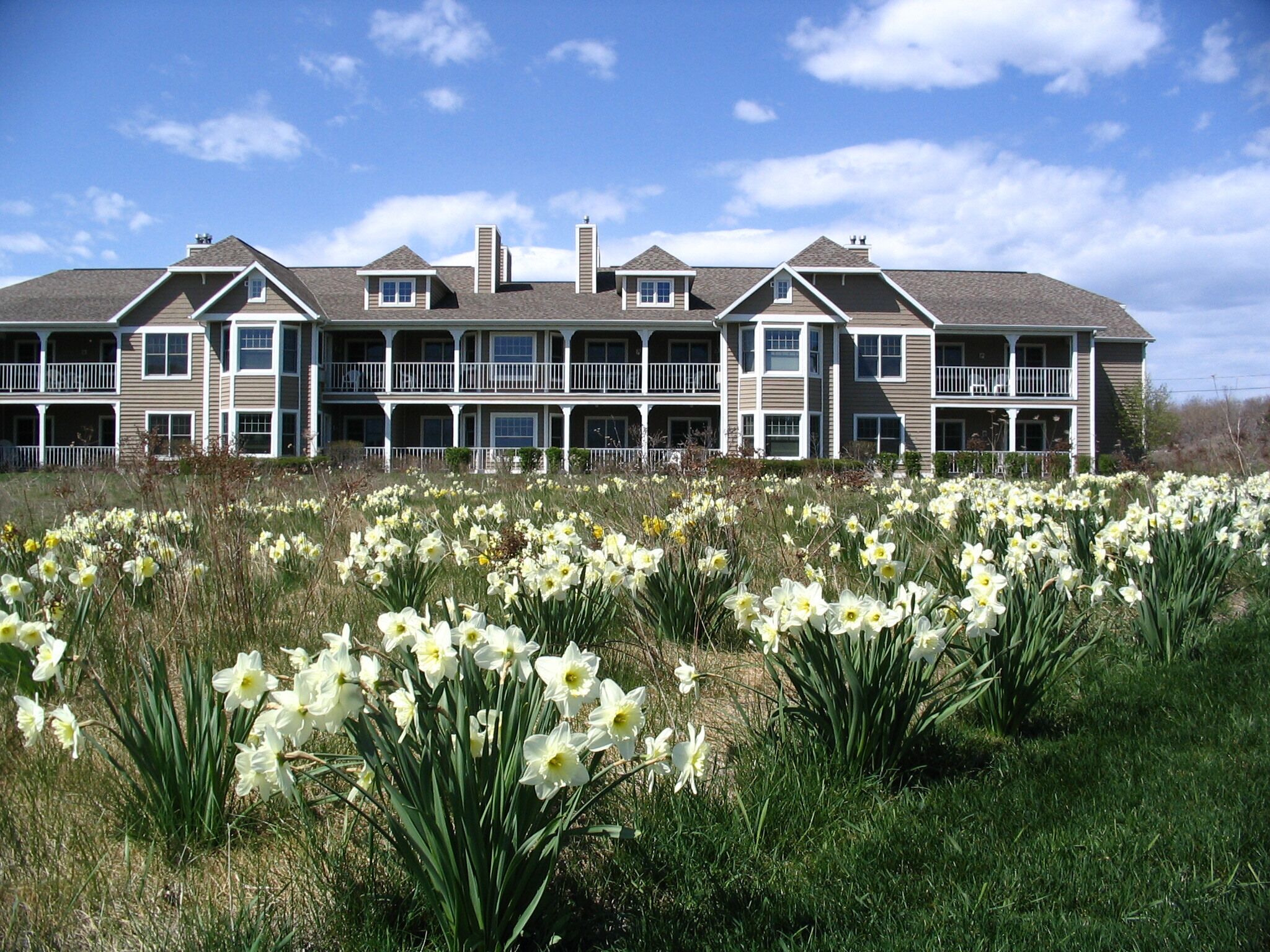 A large, multi-story building with a symmetrical facade, multiple balconies, and a lawn with daffodils in the foreground.