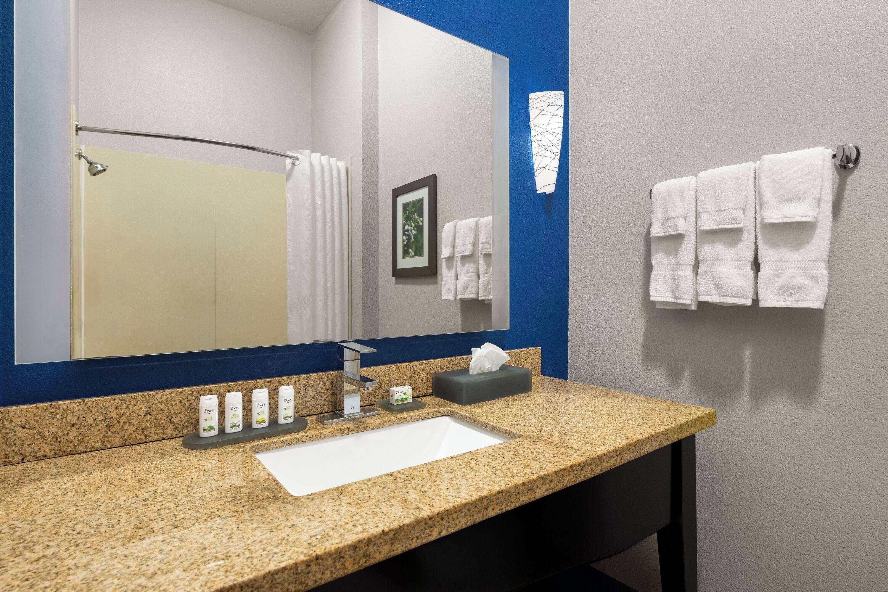 combined shower/bathtub, free toiletries, hair dryer, towels