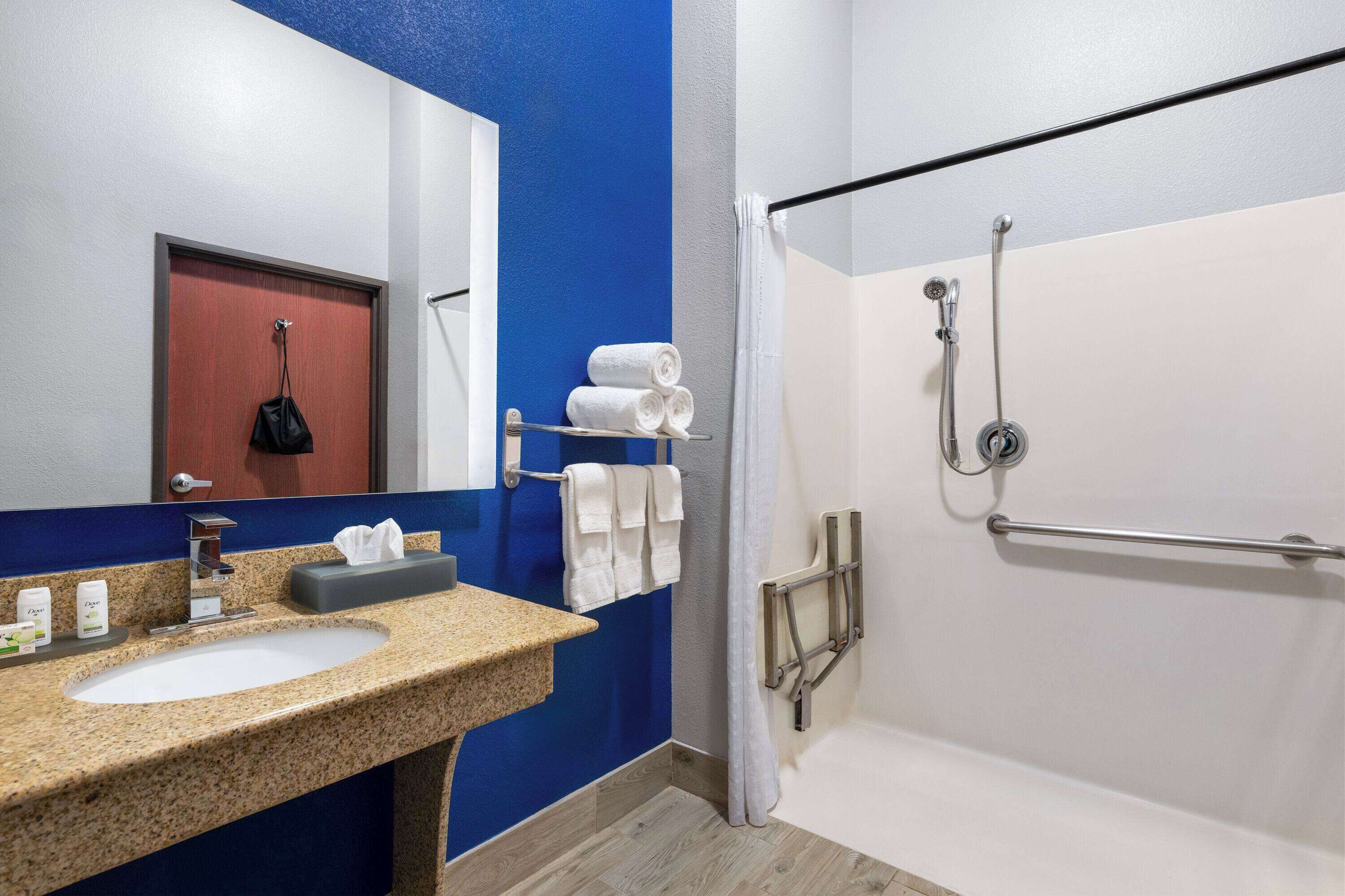 room, 1 king bed, accessible, non smoking (mobility, hearing, roll in shower) | accessible bathroom