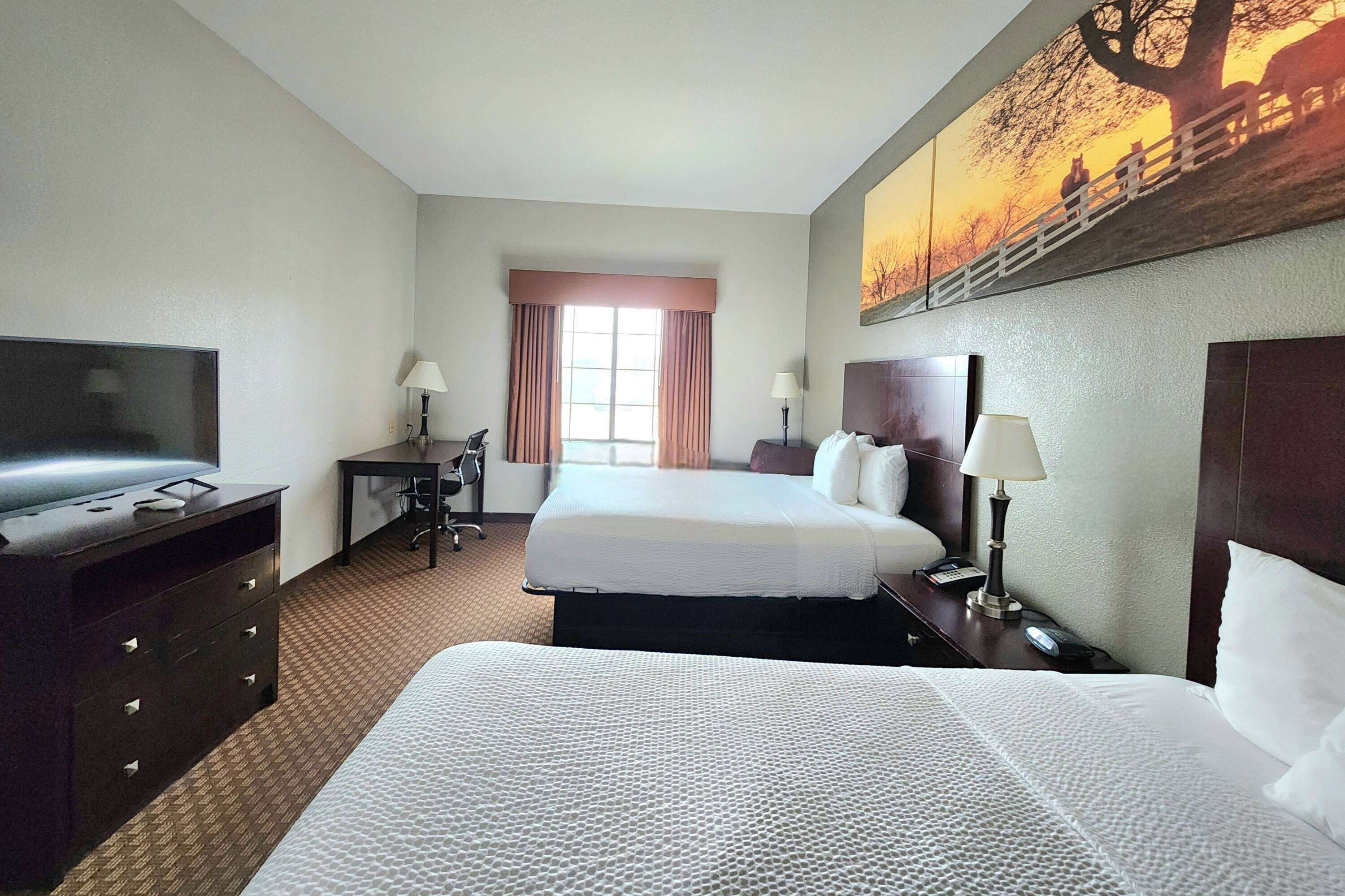 Iron/ironing board, free cots/infant beds, rollaway beds, free WiFi