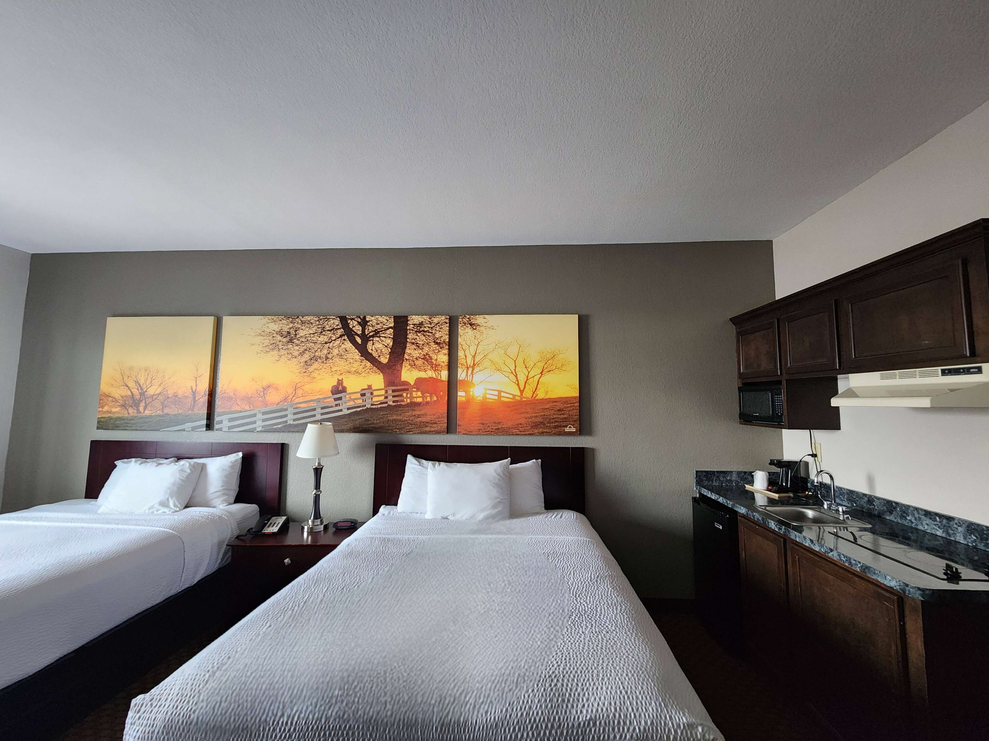 Een hotelkamer met twee bedden, een groot schilderij van een zonsondergang, een kitchenette met een magnetron en spoelbak, en houten kastjes.