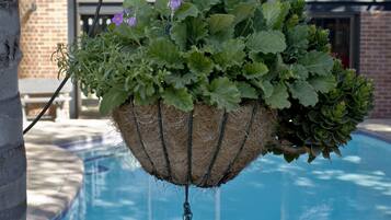 Jardim suspenso com diversas plantas e flores à beira de uma piscina.