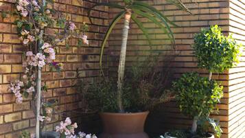 A garden with a variety of plants, including a tall palm, a flowering shrub, and several potted plants.
