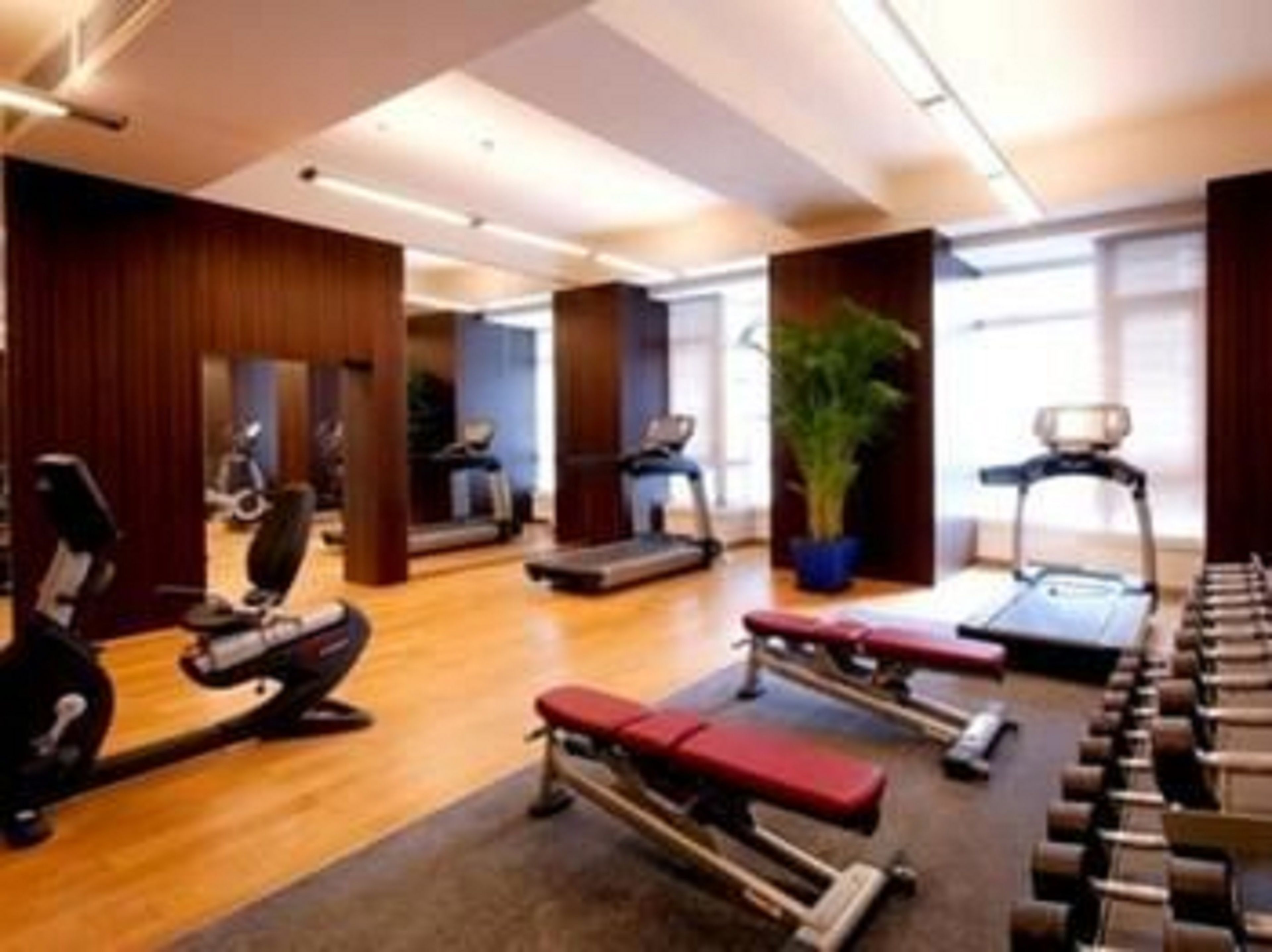 A gym with exercise equipment, a treadmill, and a bench.