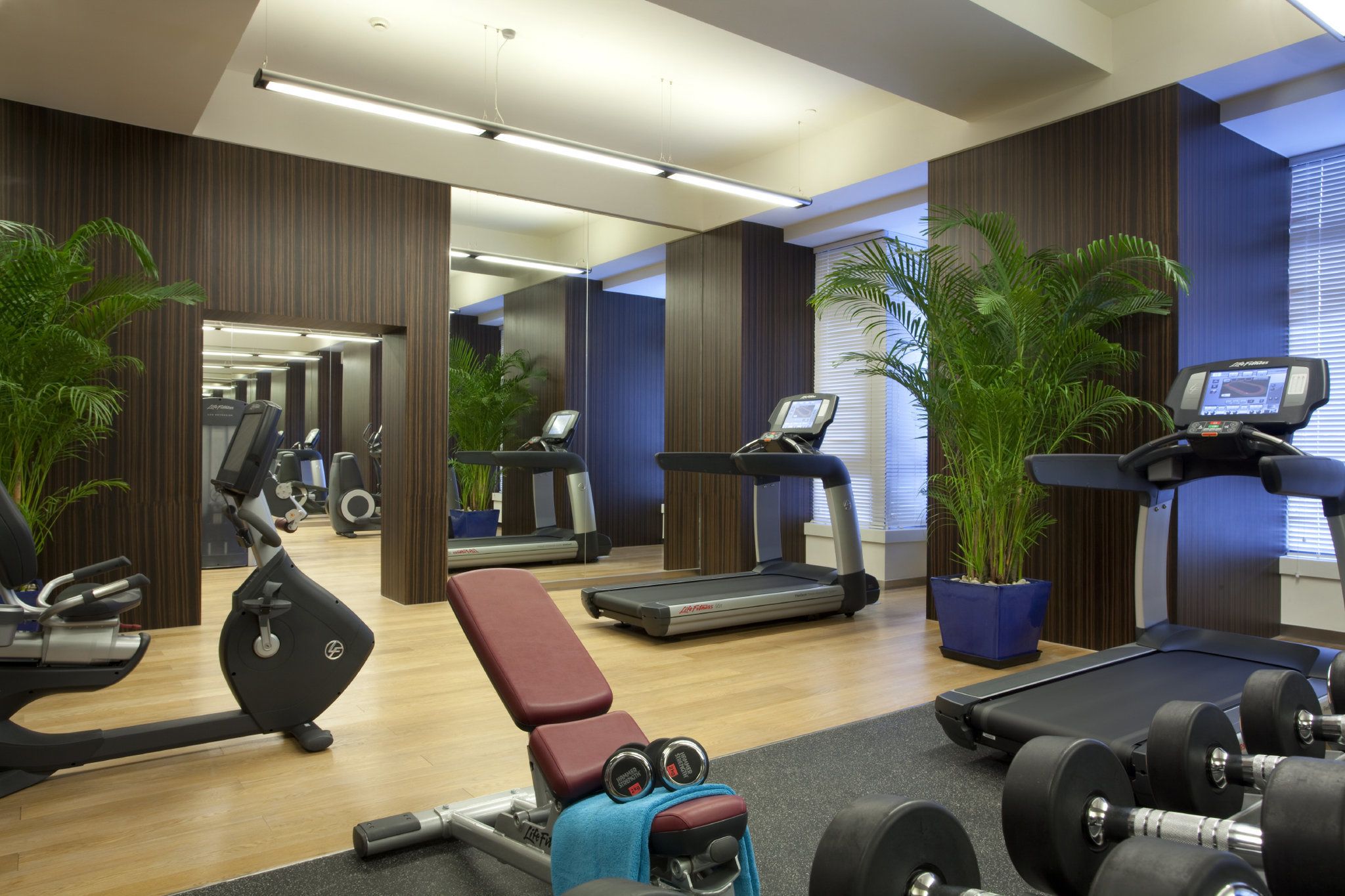 A gym with exercise equipment, including treadmills, an elliptical, and free weights.