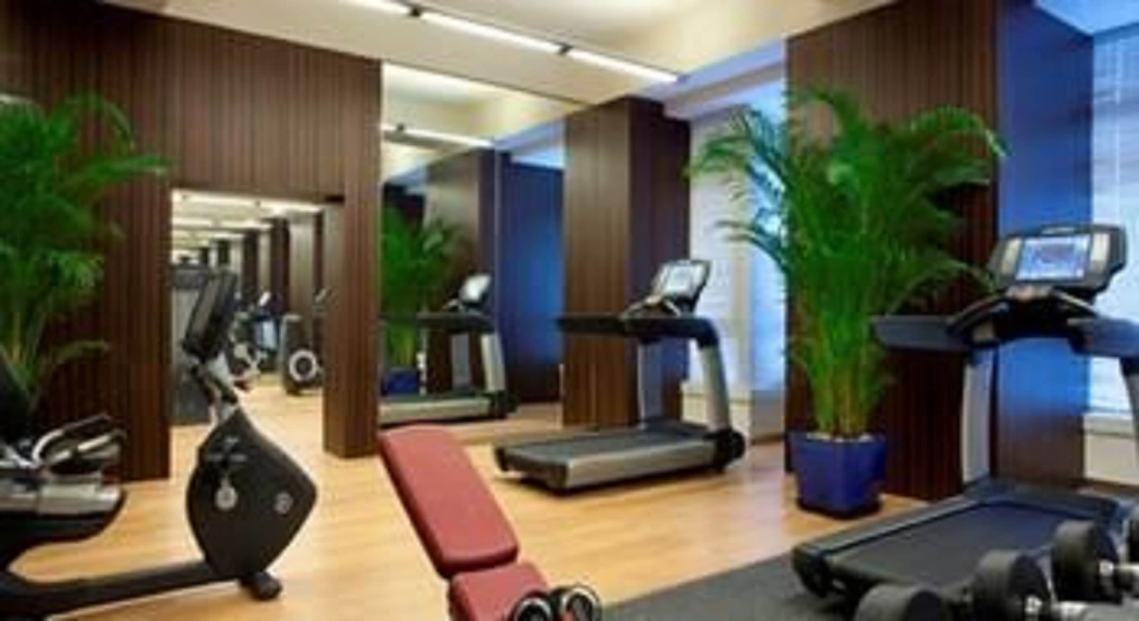A gym with treadmills, elliptical machines, and stationary bikes.