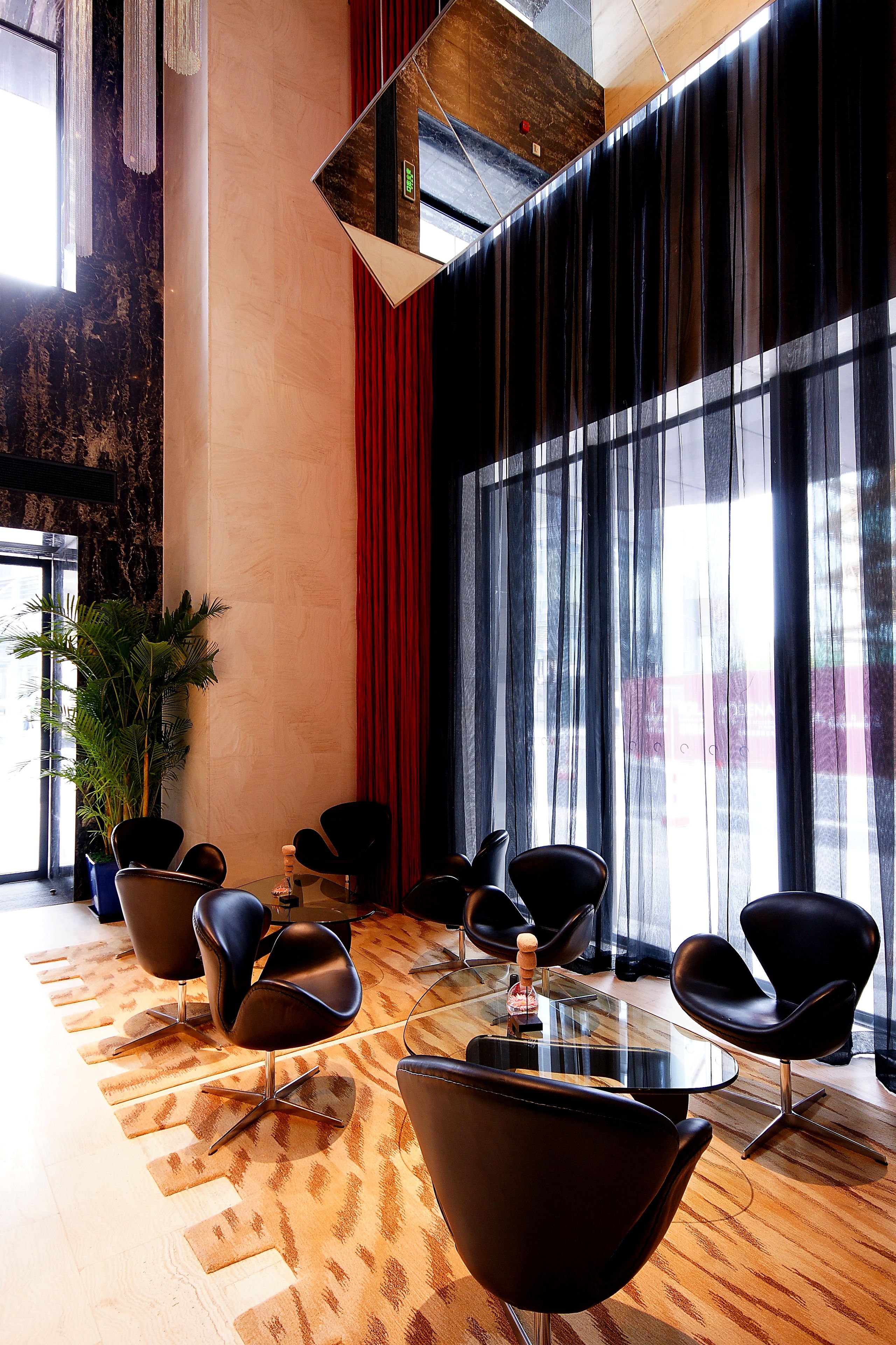 A modern interior with a large window, black chairs, a glass table, and a plant.