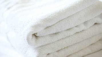 Combined shower/tub, free toiletries, hair dryer, bathrobes