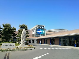 Children's activities