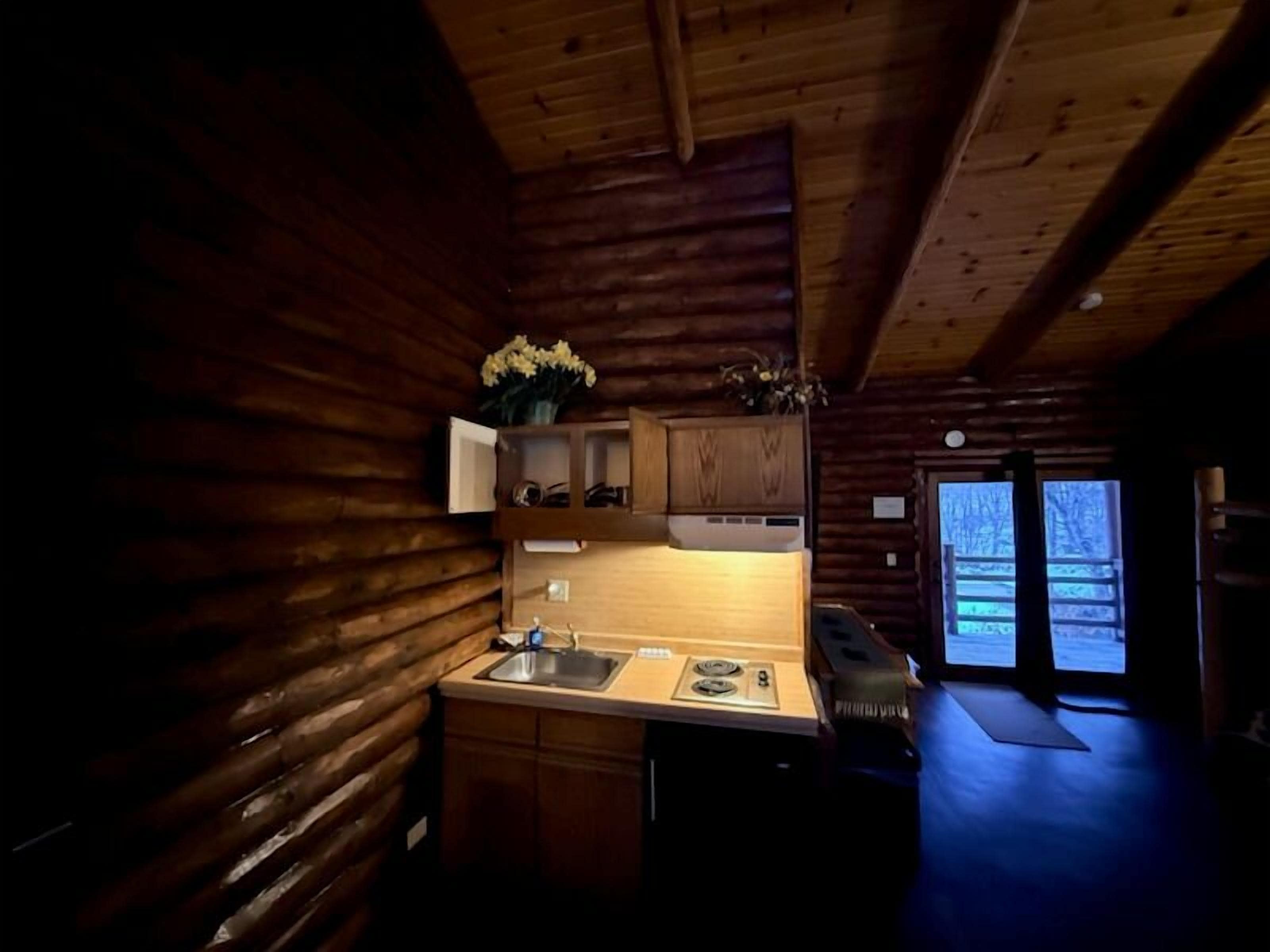A cozy cabin interior with a wooden interior, a kitchen with a sink and cabinets, and a view of the outside through a door.