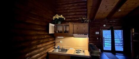 A cozy cabin interior with a wooden interior, a kitchen with a sink and cabinets, and a view of the outside through a door.