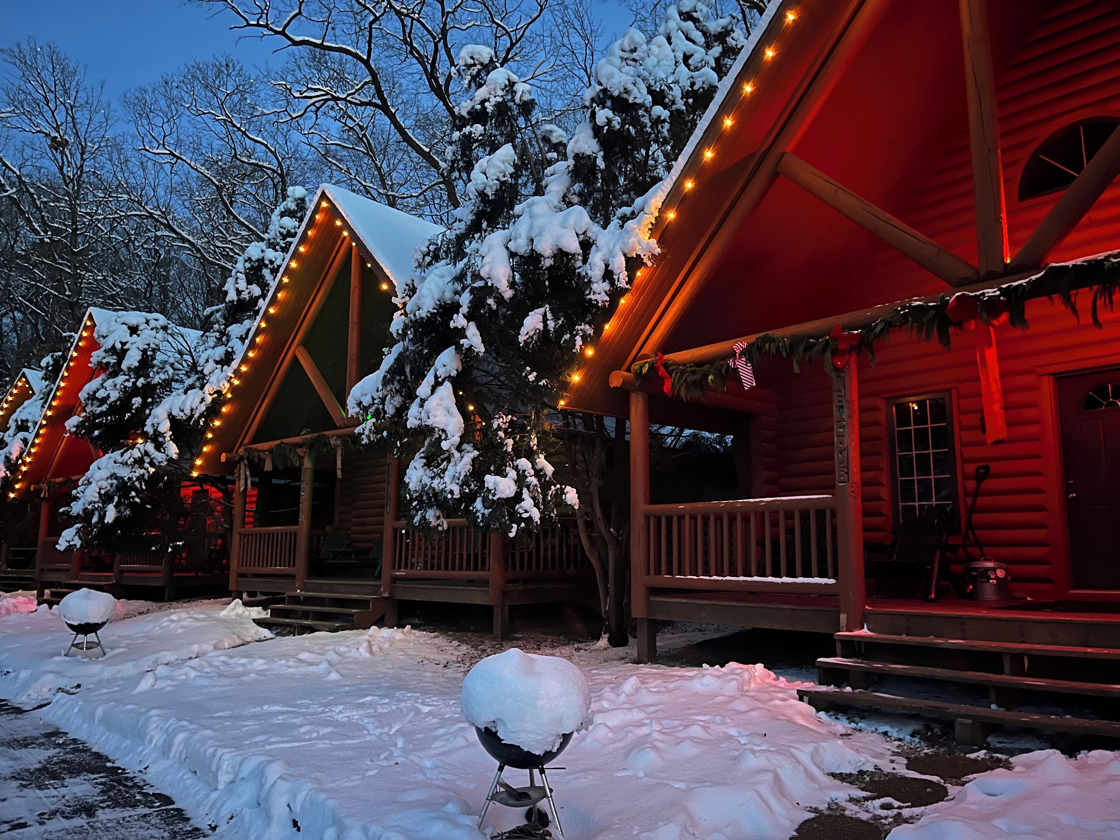 Whirlpool Log Cabins (6 person) | Terraza o patio