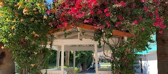 Adara Hotel Palm Springs