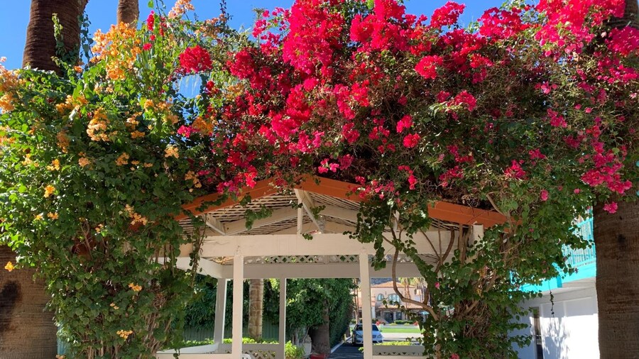 Adara Hotel Palm Springs