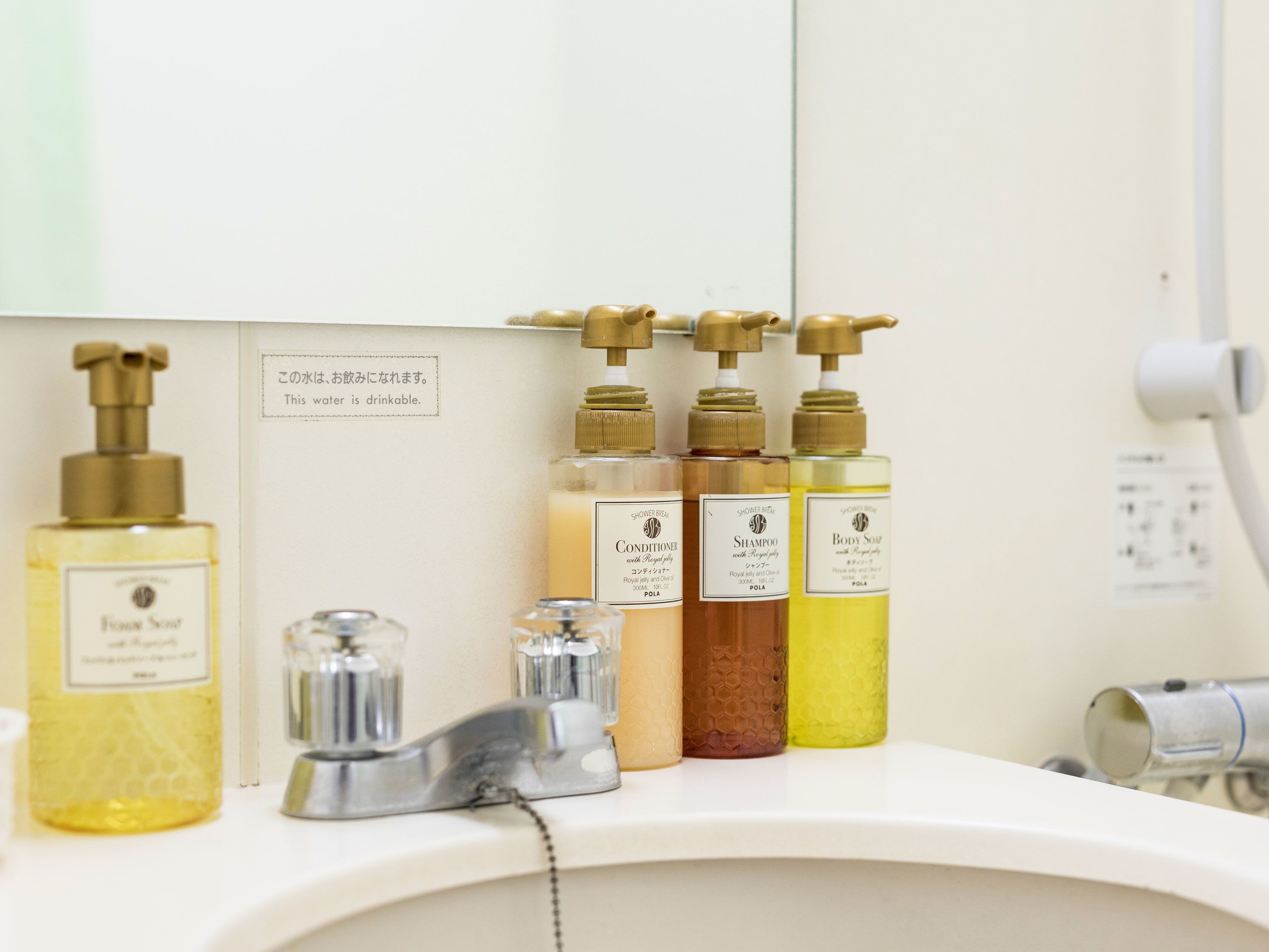 A bathroom shelf with various toiletries including a bottle of hand soap, a bottle of shampoo, a bottle of conditioner, and a bottle of body wash.