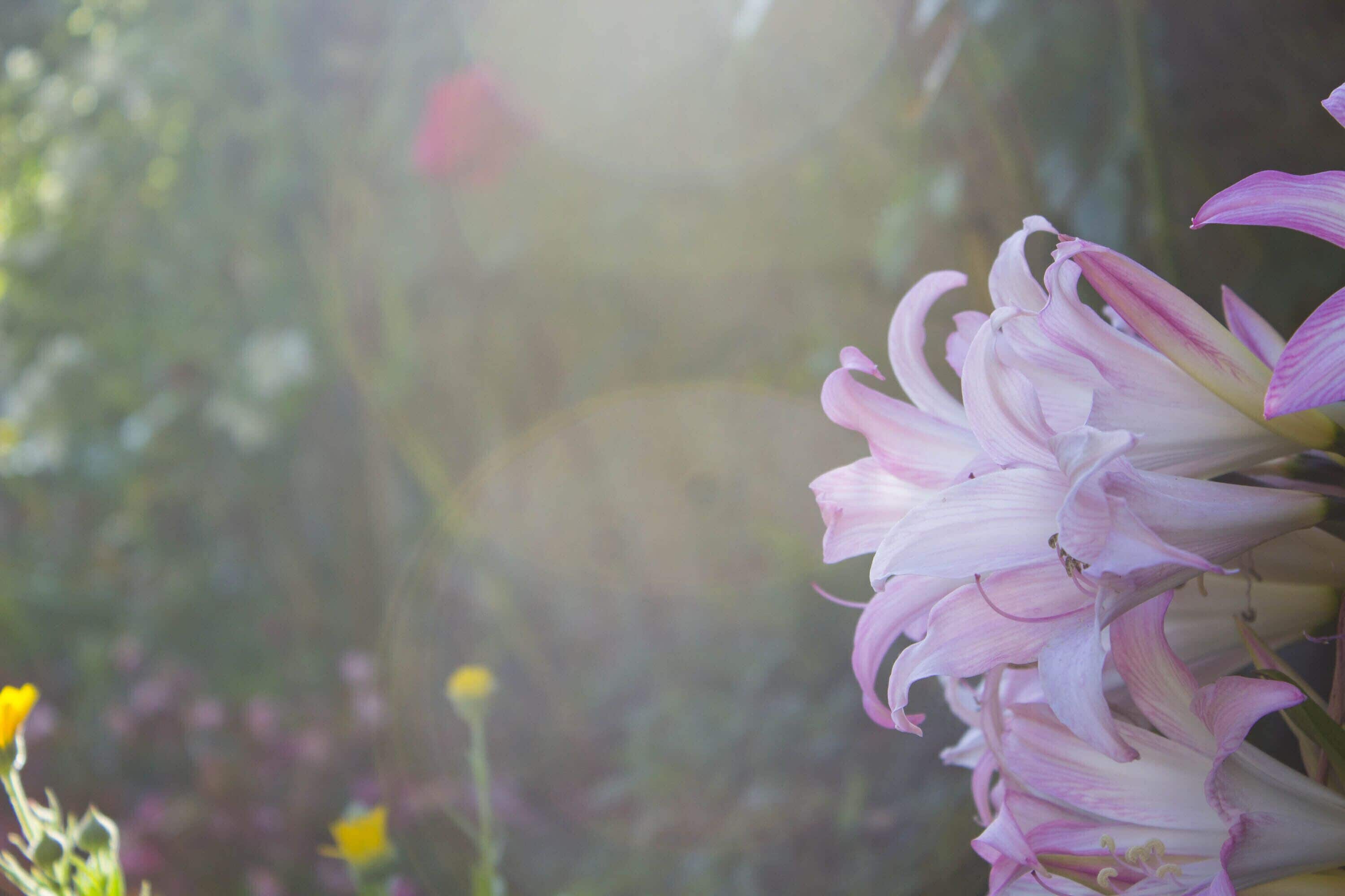 Foto - Hotel Estoril Porto