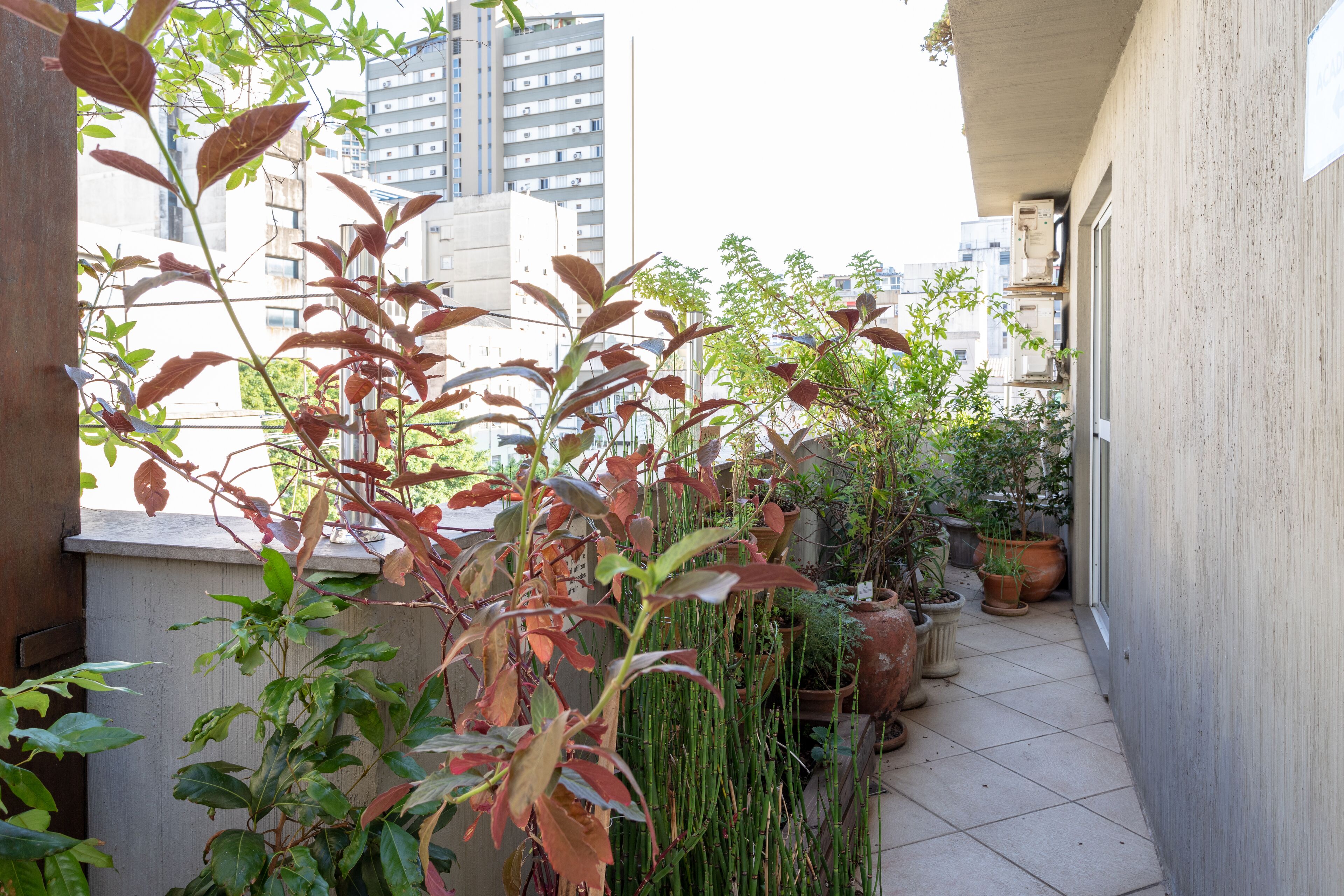 Rooftop terrace