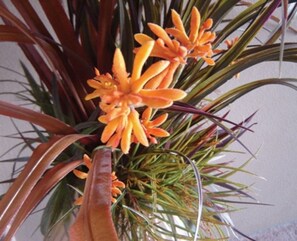Una planta en maceta con flores naranjas y hojas verdes.