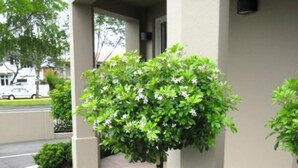 Un bâtiment doté d’une entrée abritée, d’un espace de stationnement et de plusieurs petits arbres et arbustes.