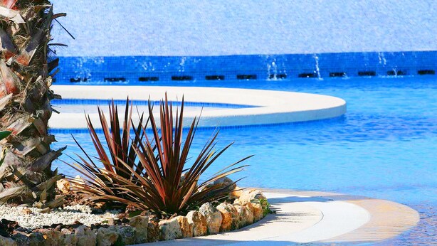 Una piscina con diseño circular, rodeada de rocas y plantas.