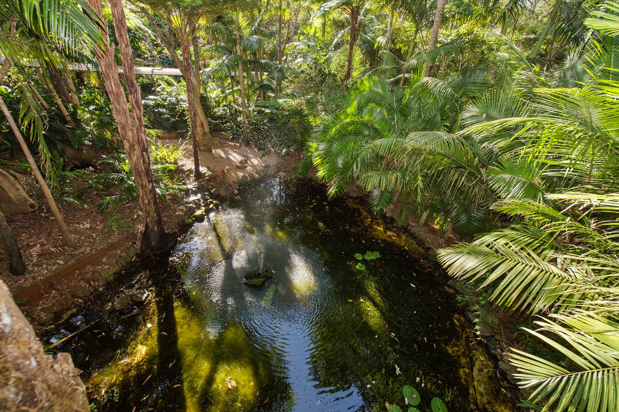 A serene waterway surrounded by lush greenery and trees.
