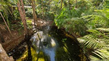 A serene waterway surrounded by lush greenery and trees.