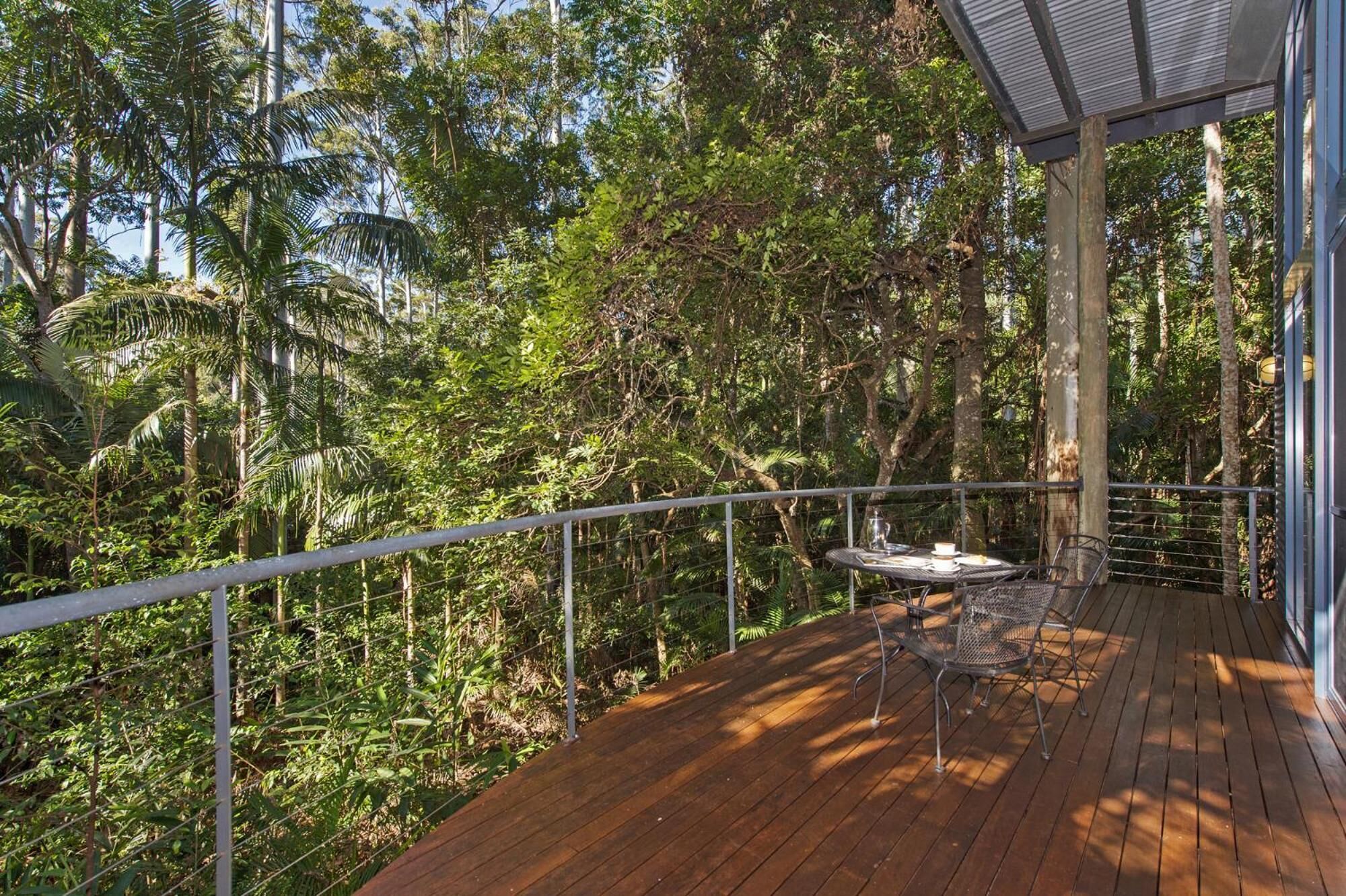 A wooden deck with a metal railing overlooking a dense forest.