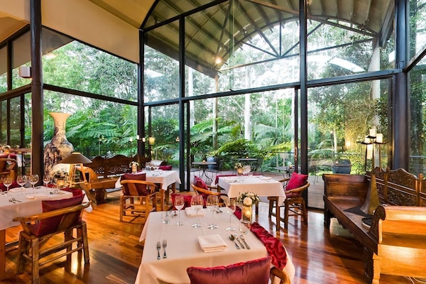 Dinner served, Modern European cuisine, garden views