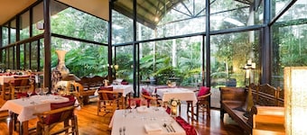 Pethers Rainforest Retreat
