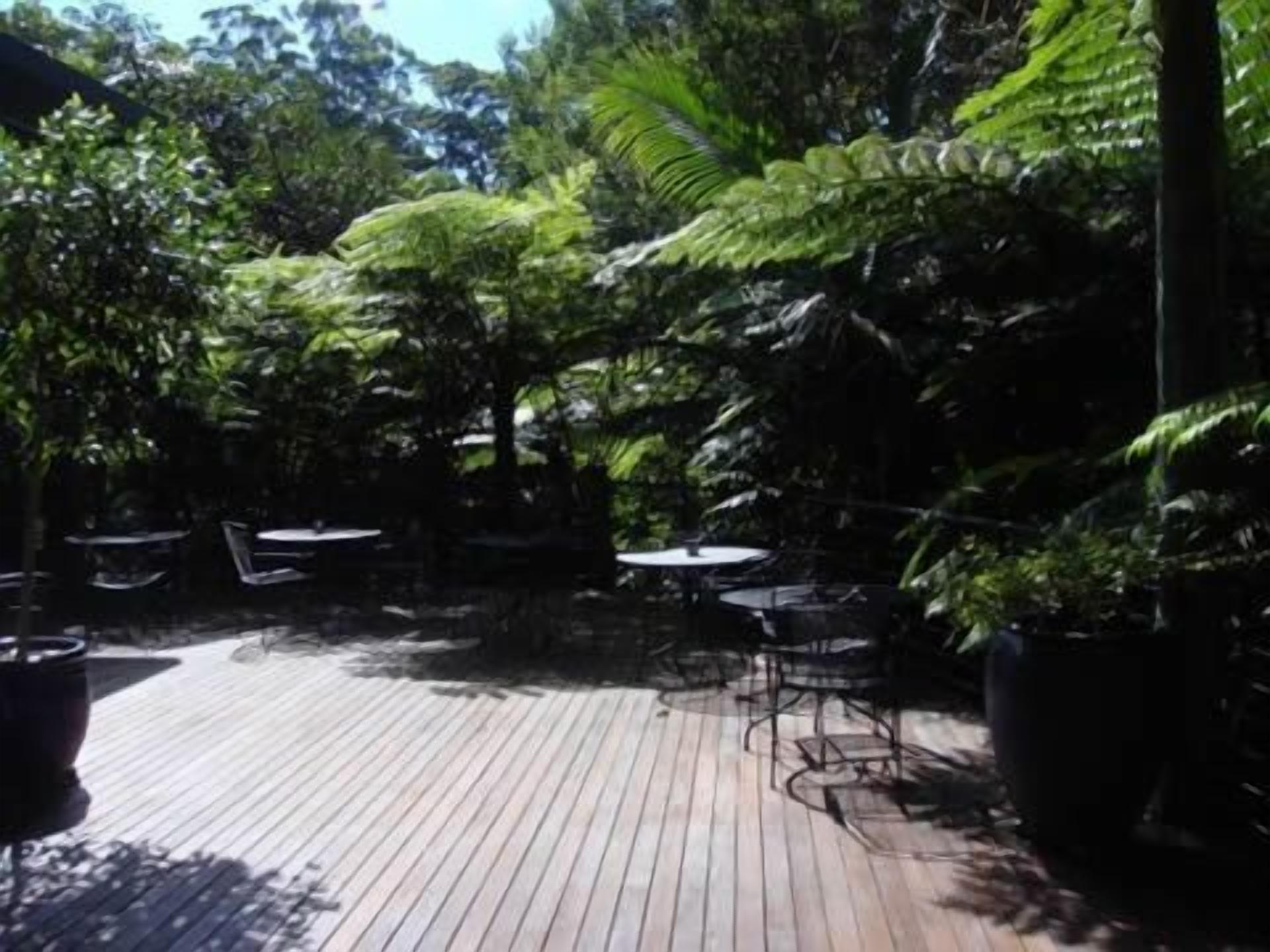 Un espace extérieur aménagé en terrasse, doté d’un plancher en bois, et entouré d’une végétation luxuriante et de fougères.