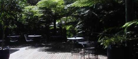 Un espace extérieur aménagé en terrasse, doté d’un plancher en bois, et entouré d’une végétation luxuriante et de fougères.