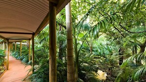 A covered walkway surrounded by lush tropical vegetation. - Pethers Rainforest Retreat (Tamborine Mountain)