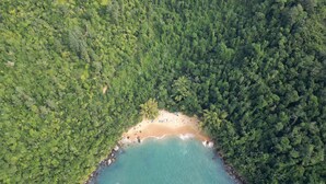Vista aèria d'una platja envoltada de bosc dens.