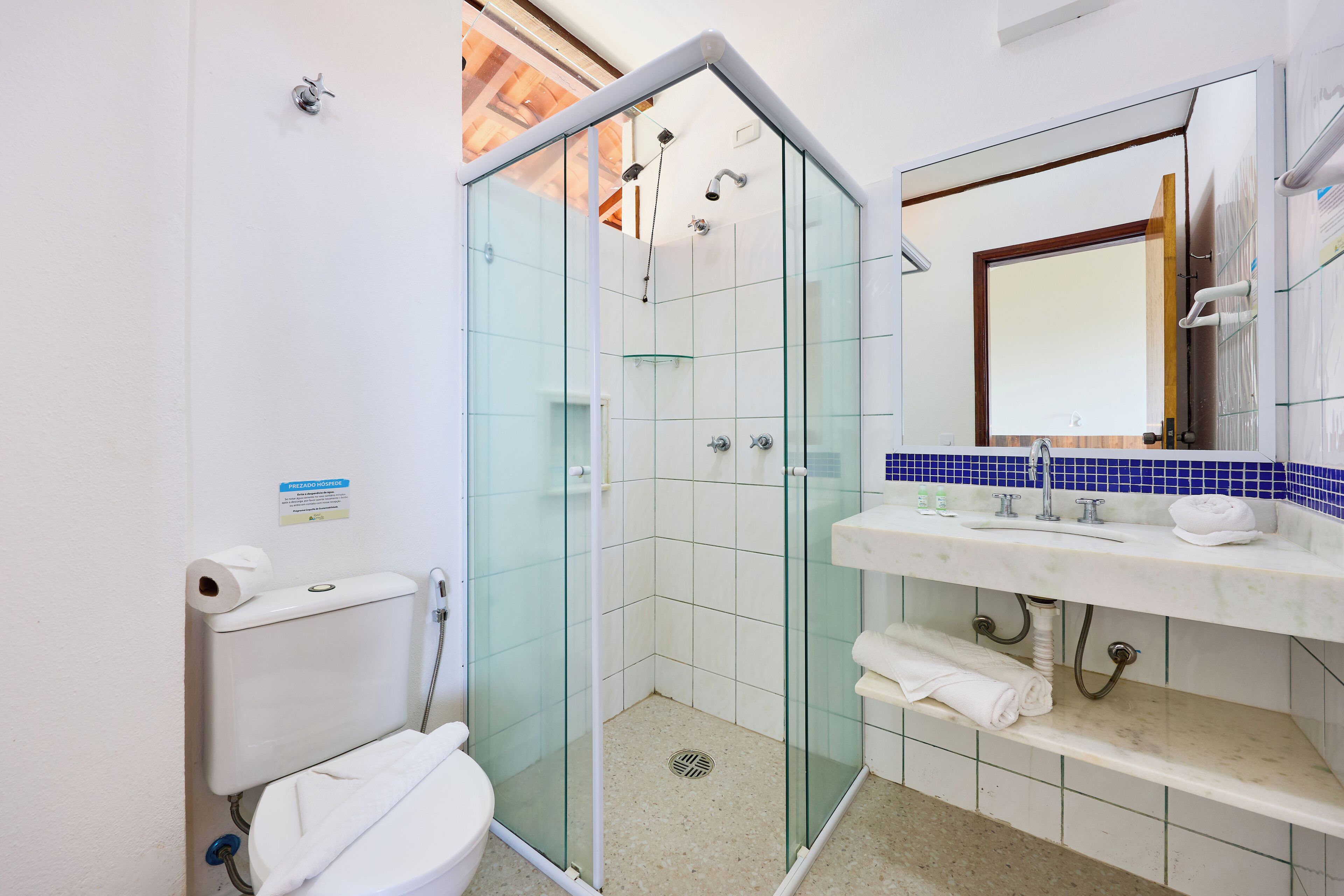 A bathroom with a glass-enclosed shower, a toilet, a sink with a mirror, and a towel rack.
