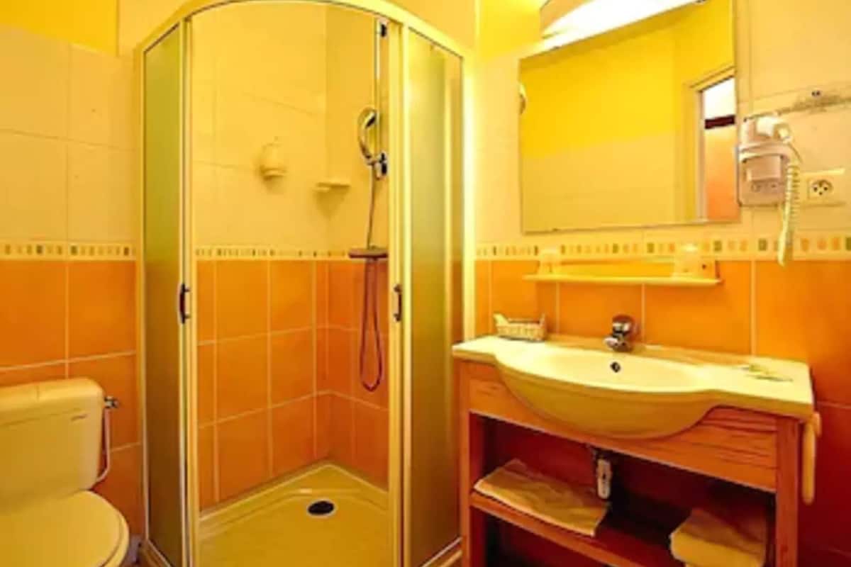 Shower, hair dryer