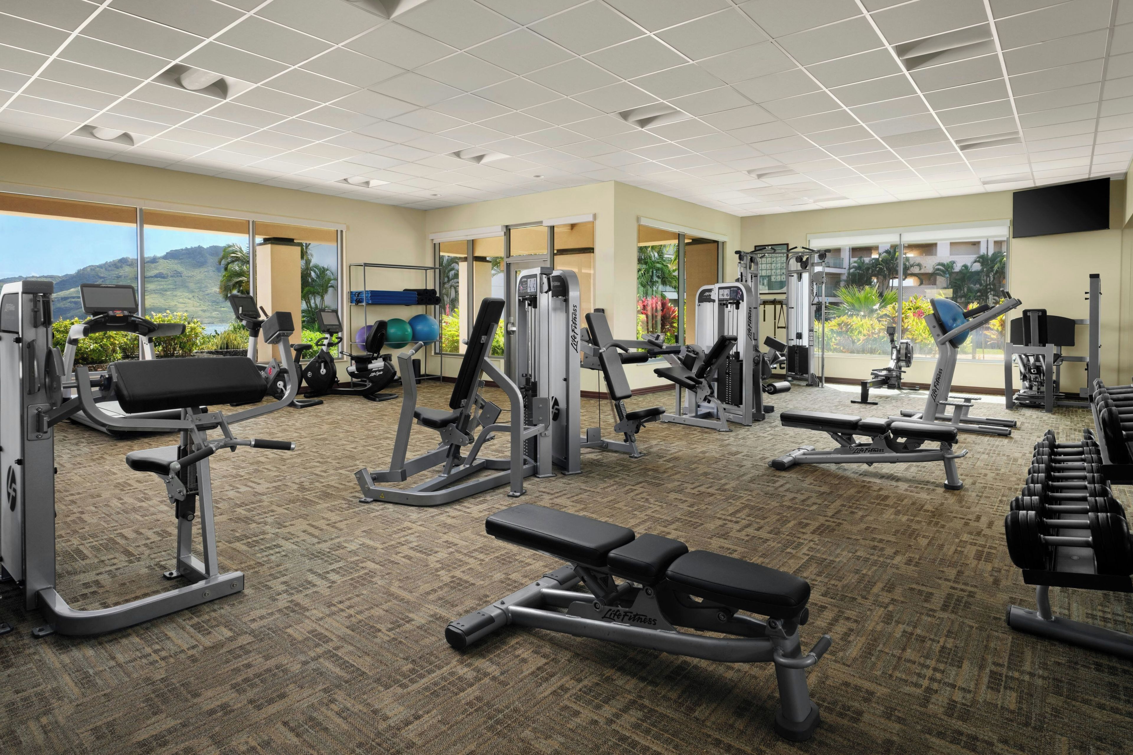 Un gimnasio con diverso equipamiento de ejercicio, piso alfombrado y grandes ventanales que ofrecen vistas al exterior.