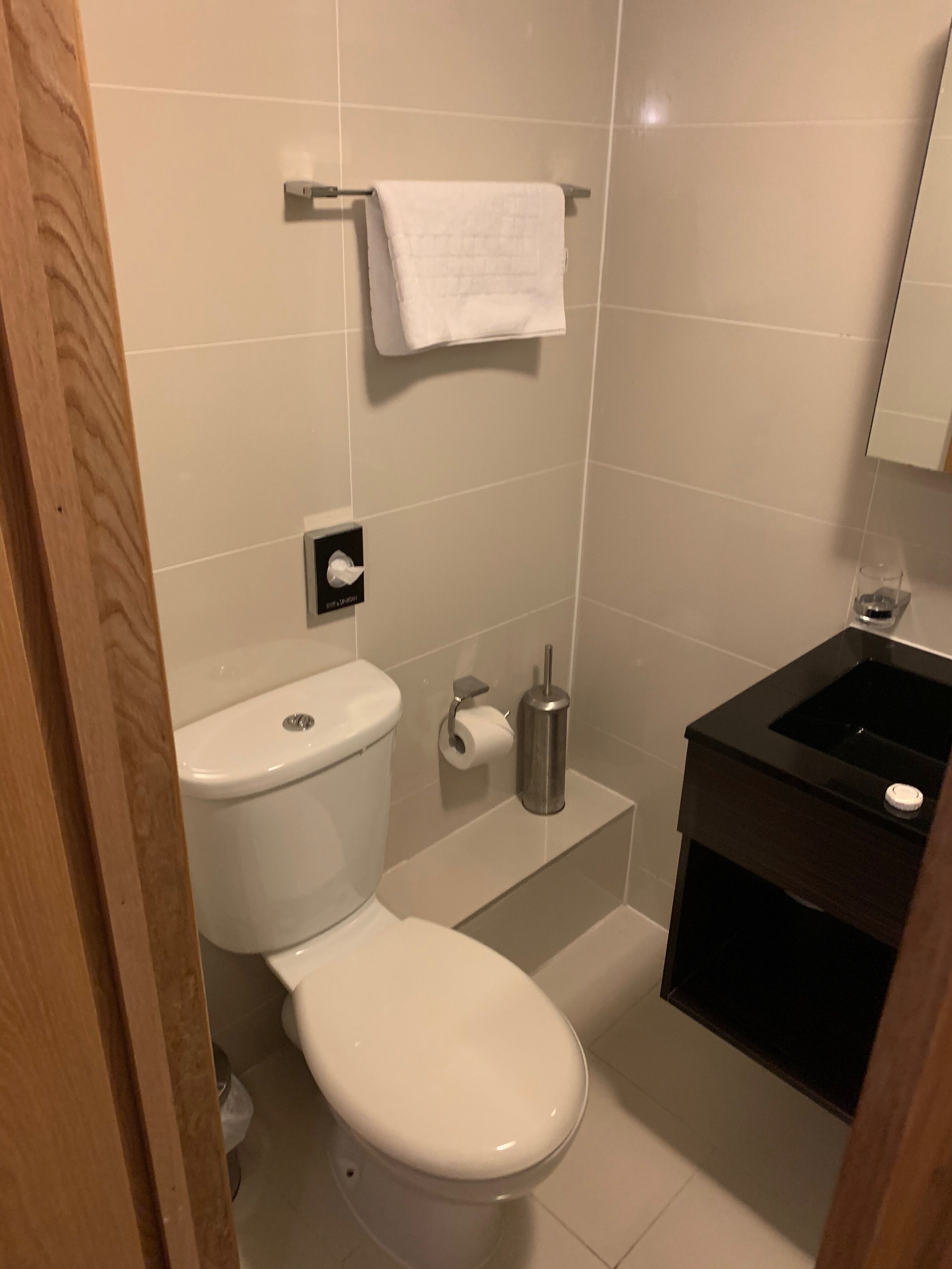 A bathroom with a toilet, a sink, and a towel rack.