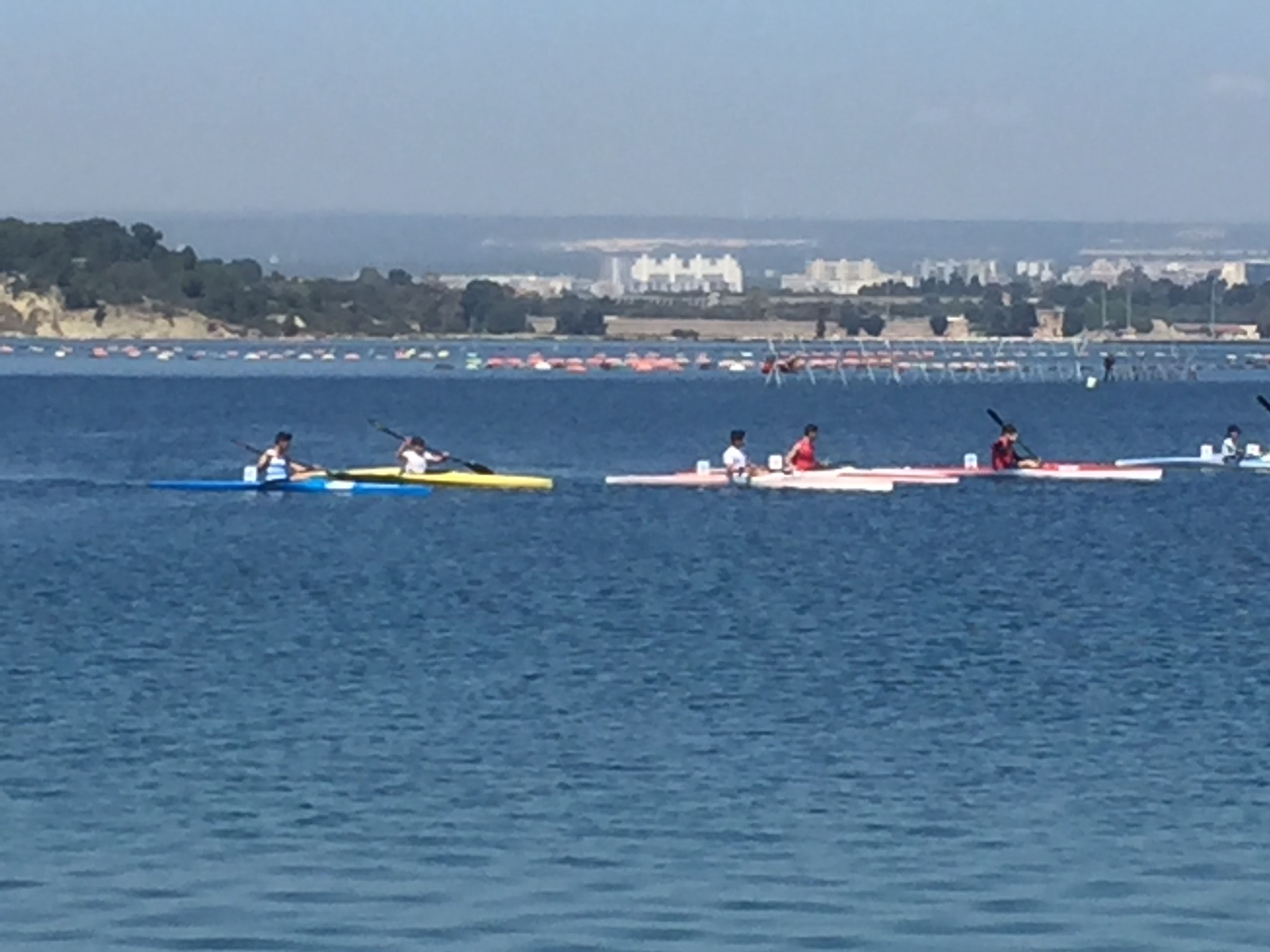 Foto - Albergo Lamanna Hotel digitale