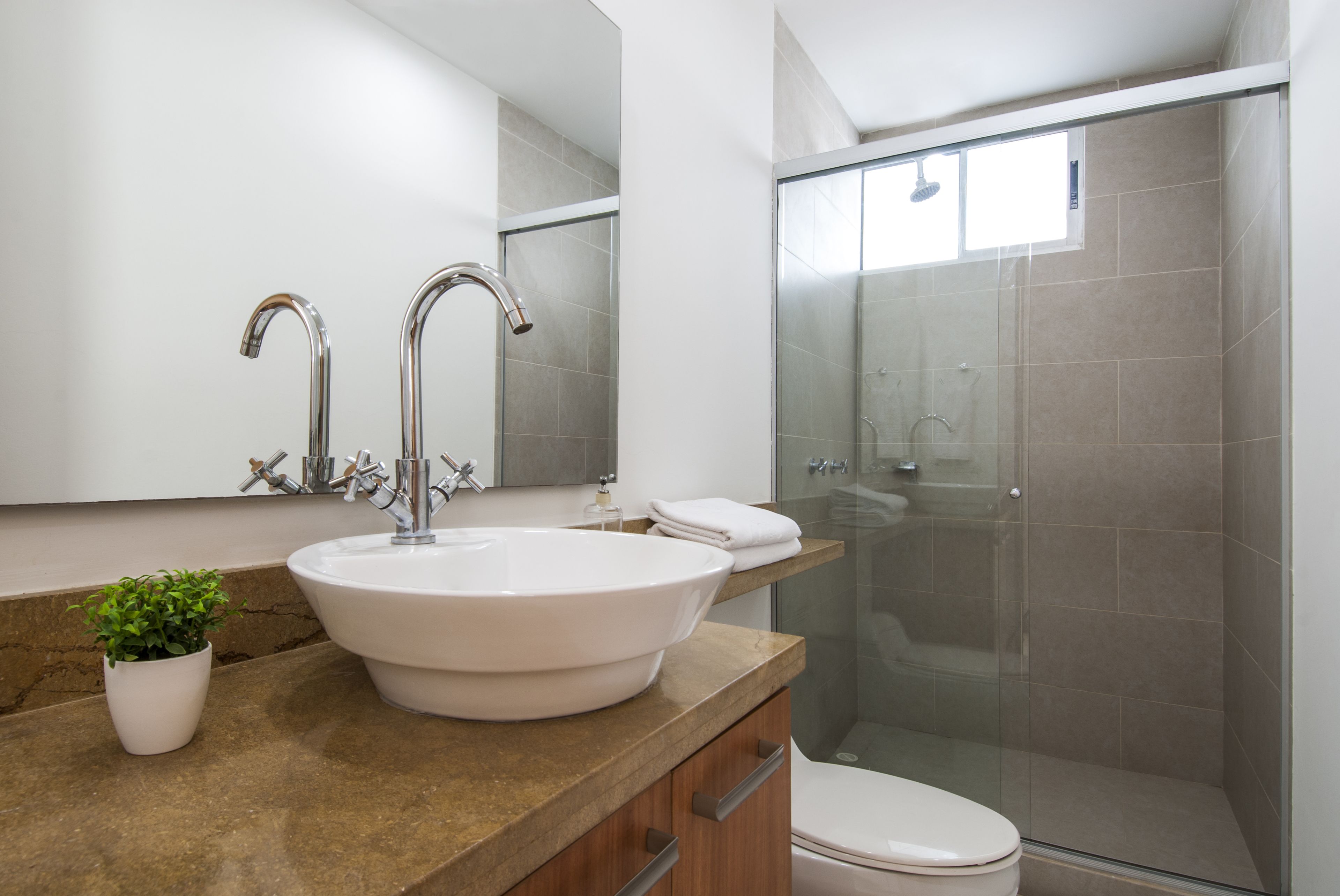 A modern bathroom with a large white sink, two faucets, a potted plant, a toilet, and a glass-enclosed shower.
