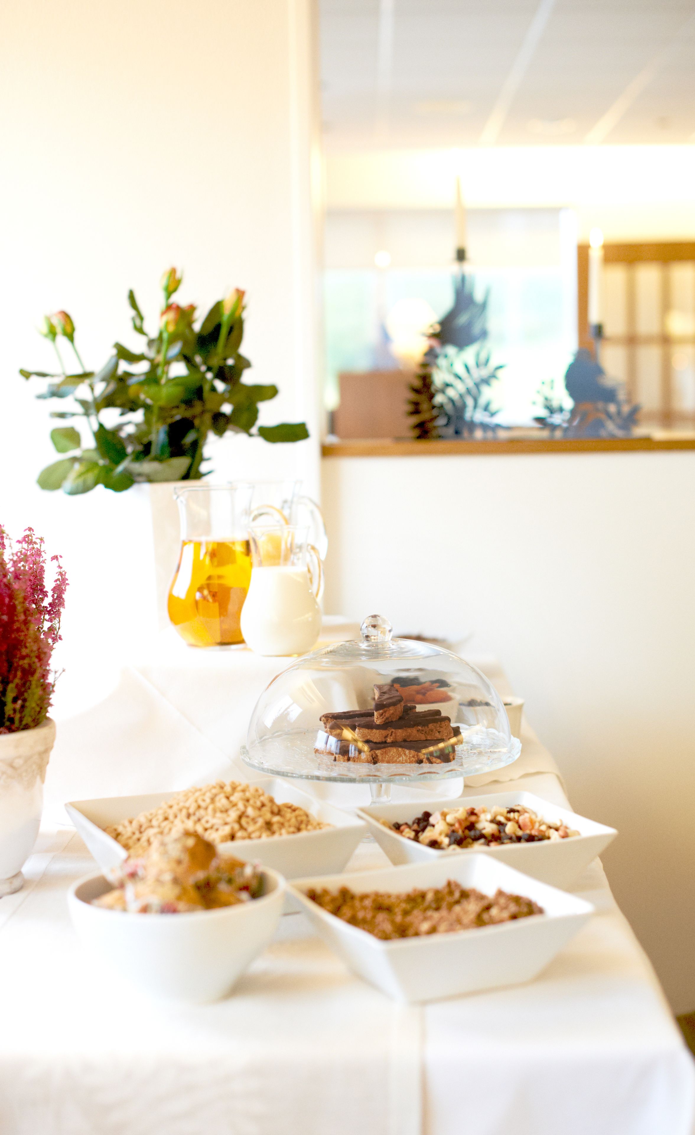 Free daily continental breakfast