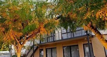 Avalon Court Accommodation