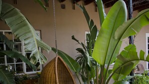Courtyard - Villa Costa Rose (Cape Town)