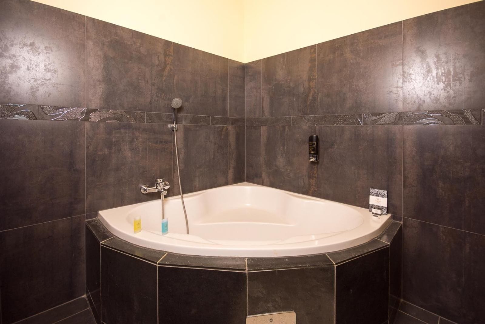 A bathroom with a freestanding bathtub, a handheld showerhead, and a wall-mounted soap dispenser.